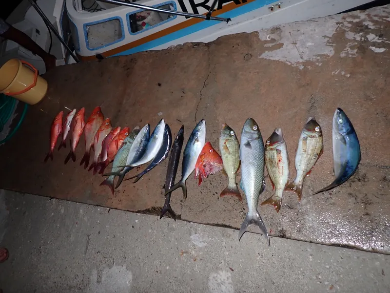 pesca al atardecer