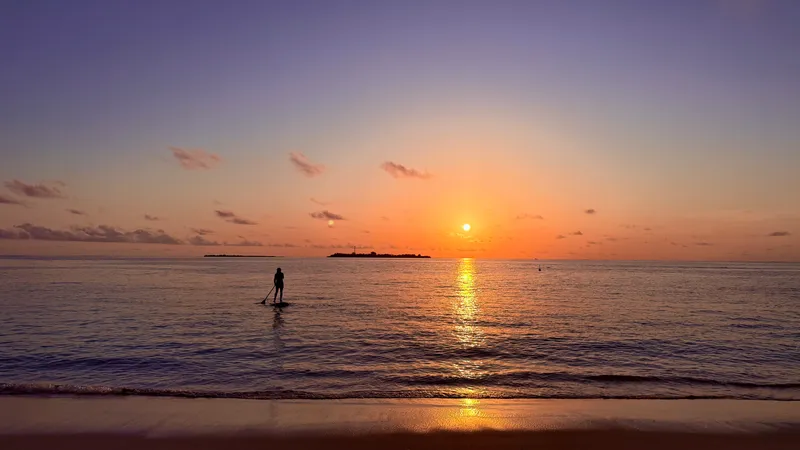 Paddleboard