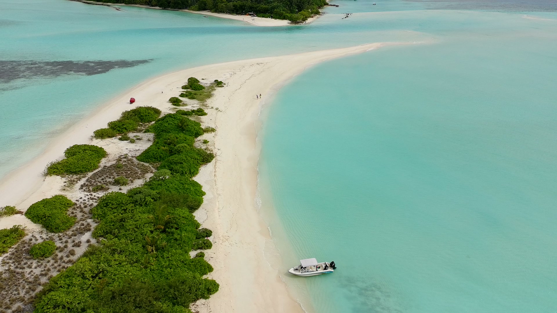 Desert Island Picnic